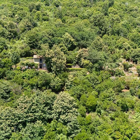 La Casa Sul * Seravezza