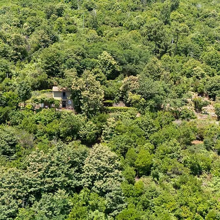 La Casa Sul * Seravezza
