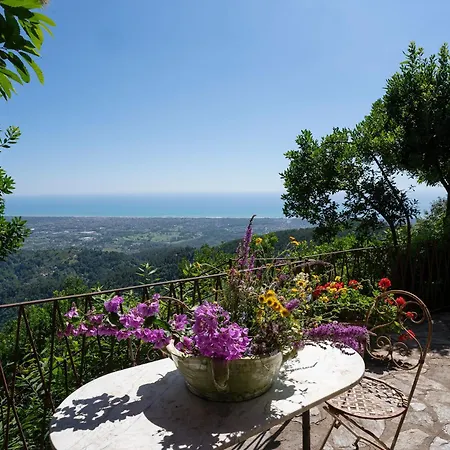 Holiday home La Casa Sul Seravezza