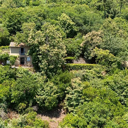 La Casa Sul Seravezza