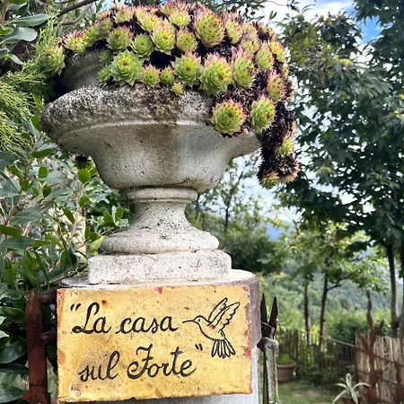 La Casa Sul *